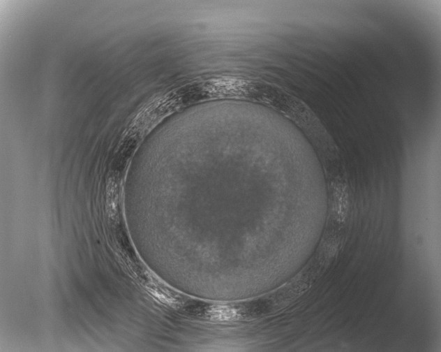 X0000086050701200703301106