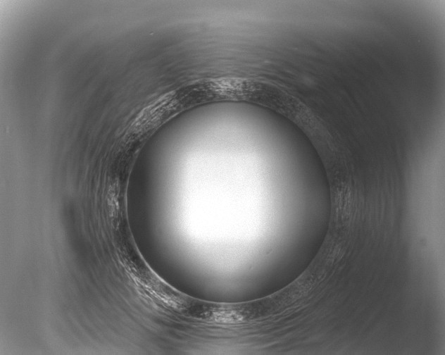 X0000086050702200703301106