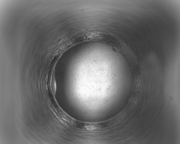 X0000086050703200703301106
