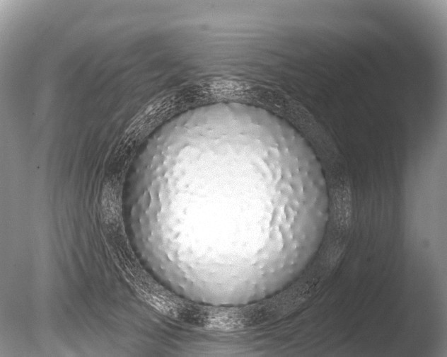 X0000086050705200703301106