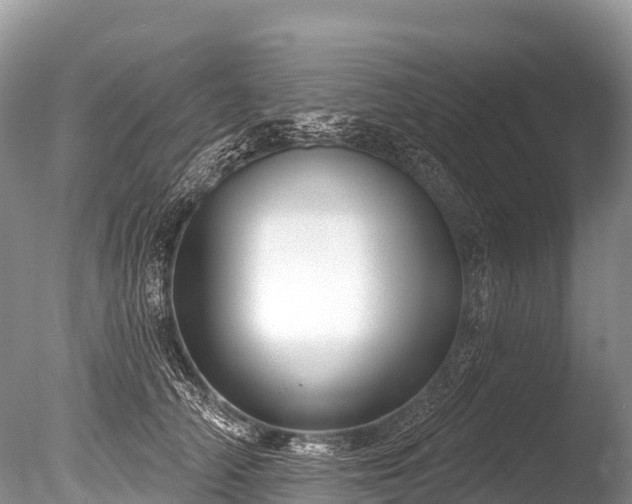 X0000086050706200703301106