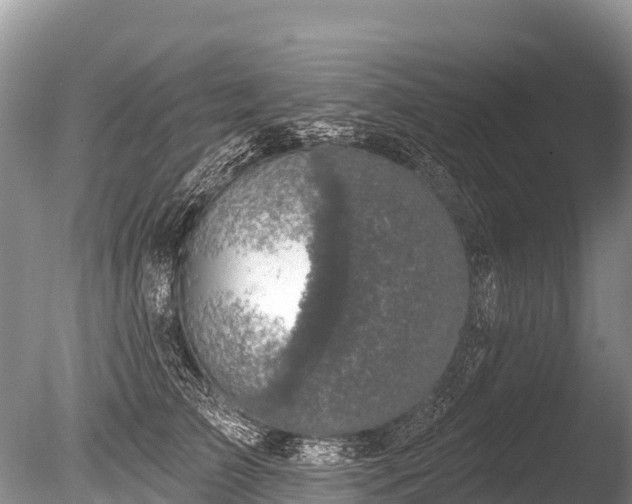 X0000086050709200703301106