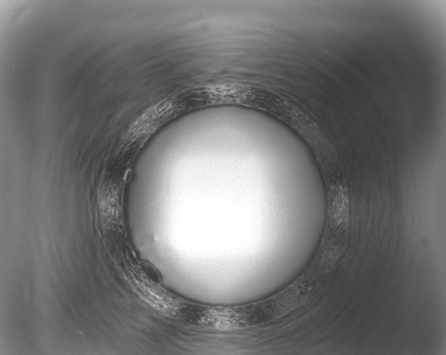 X0000086050713200703301106