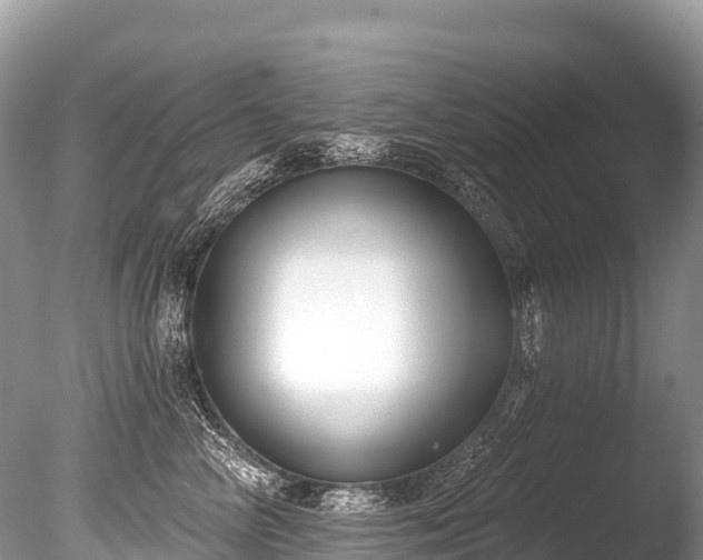 X0000086050714200703301106