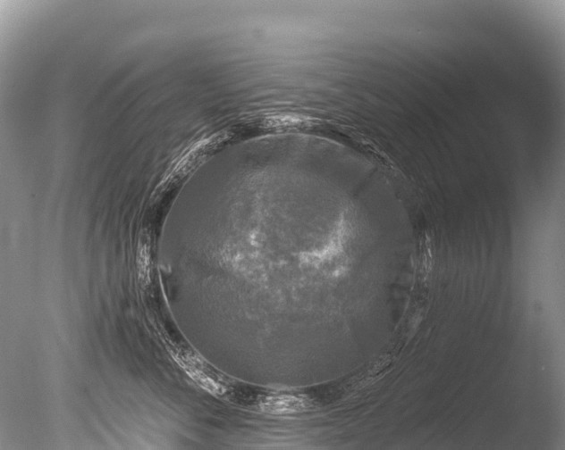 X0000086050716200703301106