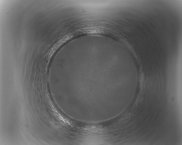 X0000086050721200703301105