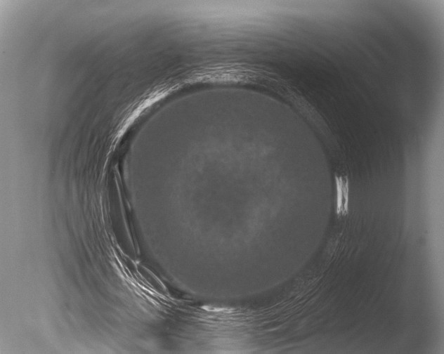 X0000086050723200703301105