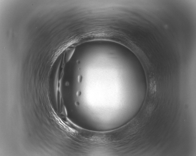 X0000086050725200703301105