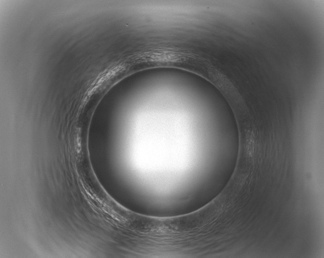 X0000086050731200703301105