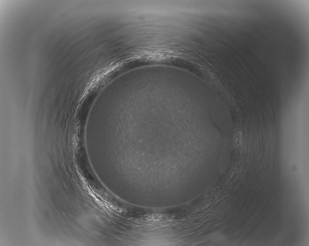 X0000086050736200703301105