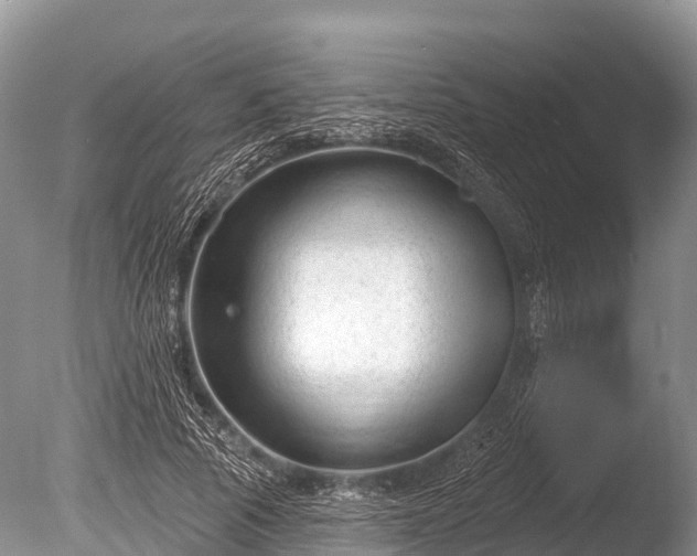 X0000086050737200703301105