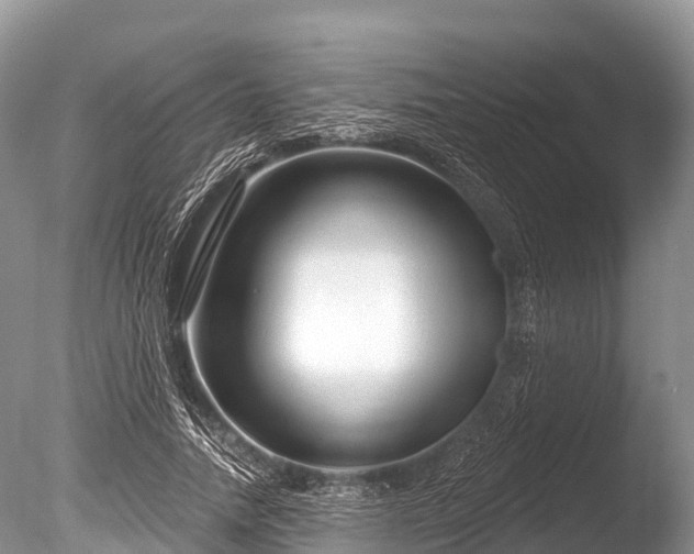 X0000086050738200703301105