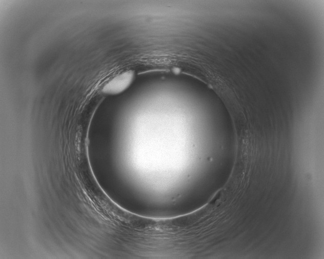 X0000086050739200703301105