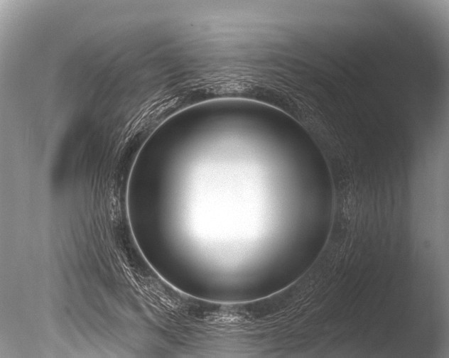 X0000086050743200703301105