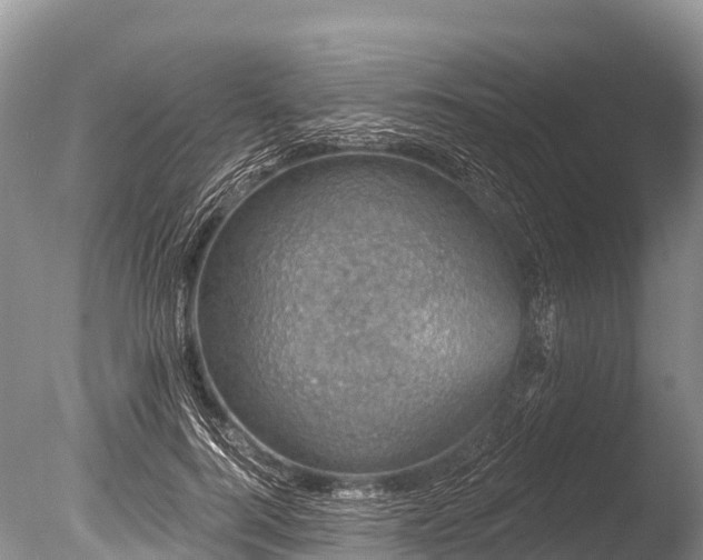X0000086050744200703301105