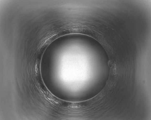 X0000086050746200703301105