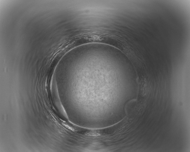 X0000086050747200703301105