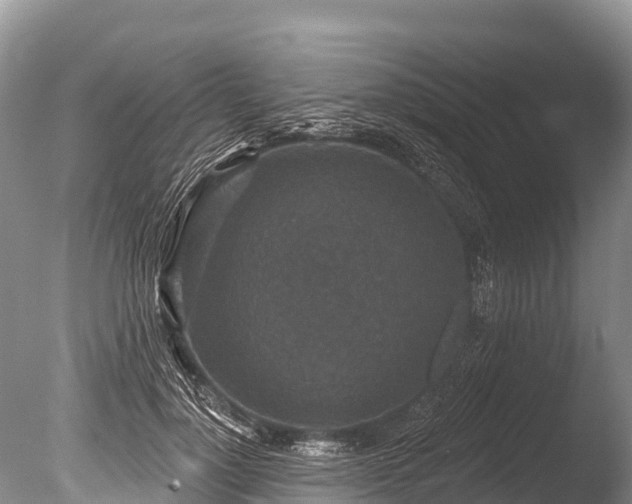 X0000086050748200703301105