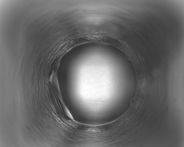 X0000086050749200703301105