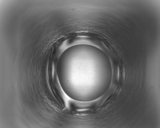 X0000086050750200703301105