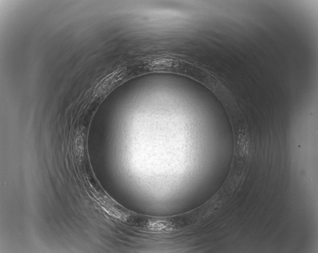 X0000086050753200703301105