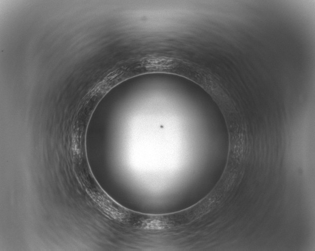 X0000086050755200703301105