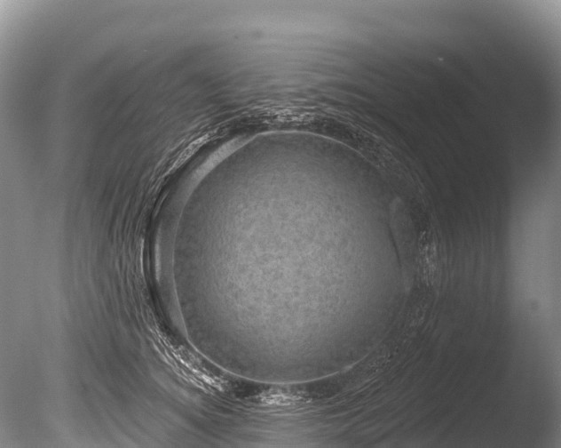 X0000086050756200703301105