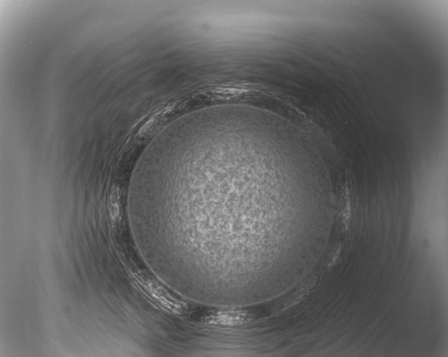 X0000086050758200703301105
