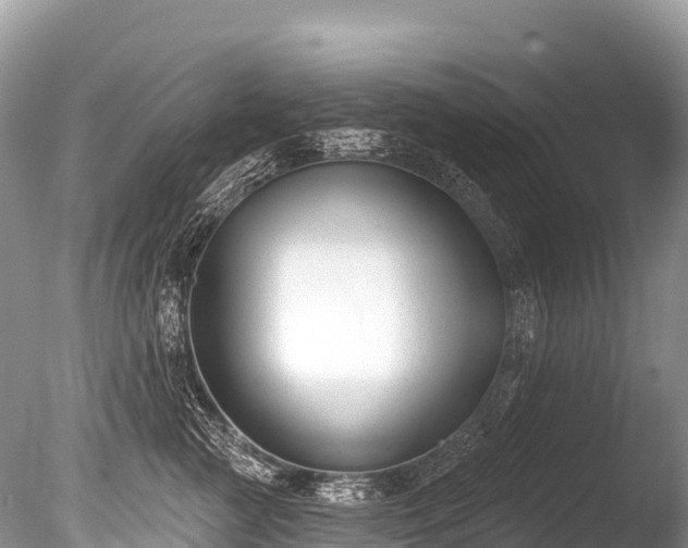 X0000086050761200703301106