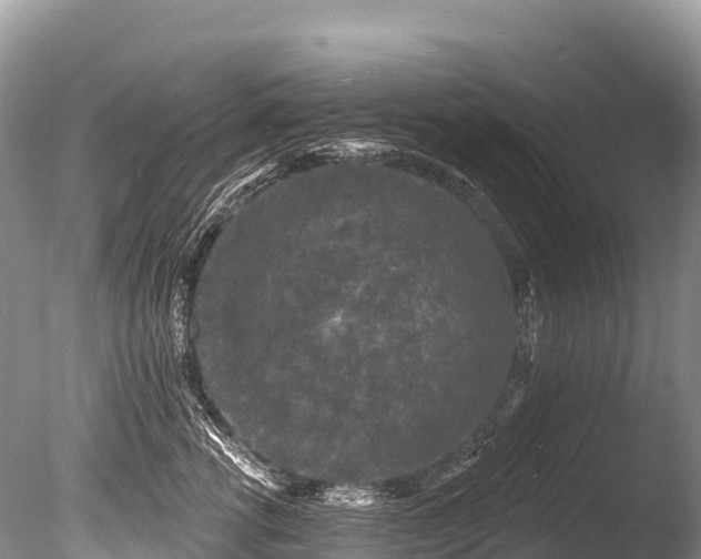 X0000086050762200703301106