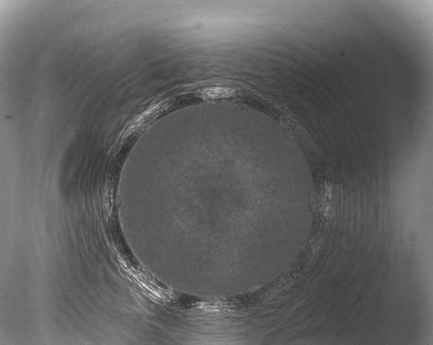 X0000086050763200703301106
