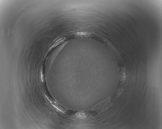 X0000086050764200703301106