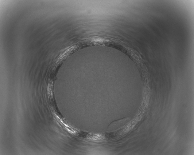 X0000086050768200703301106