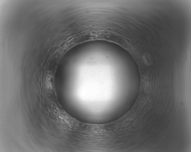 X0000086050770200703301105