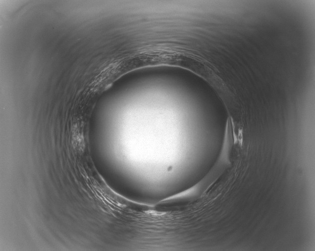 X0000086050771200703301105