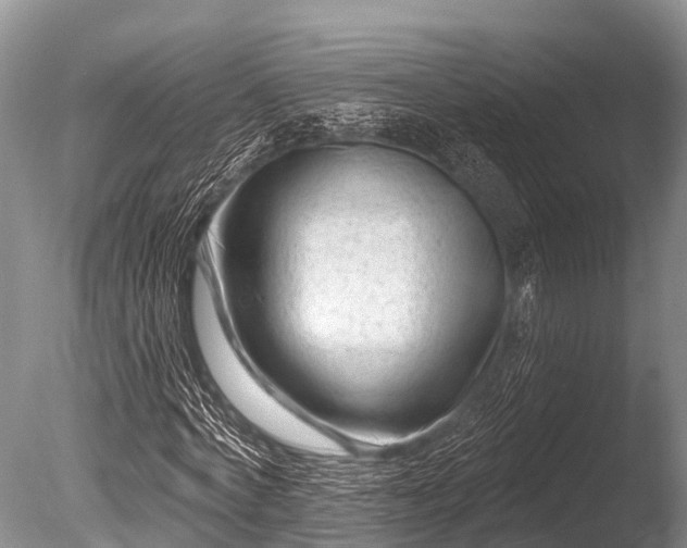 X0000086050772200703301105