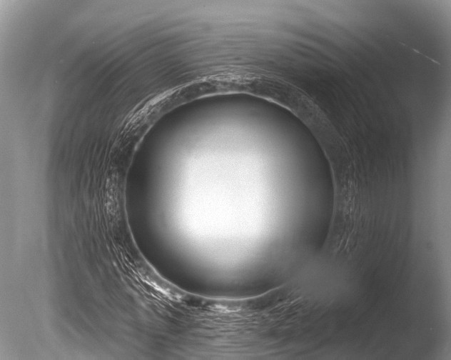 X0000086050773200703301105