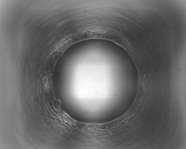 X0000086050774200703301105