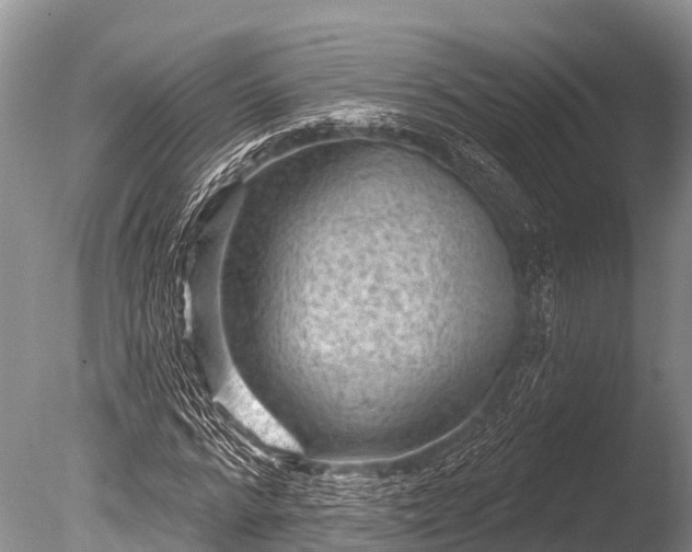 X0000086050776200703301105
