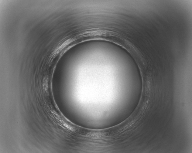 X0000086050778200703301105