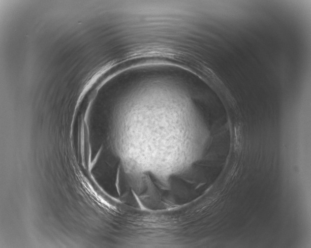 X0000086050780200703301105