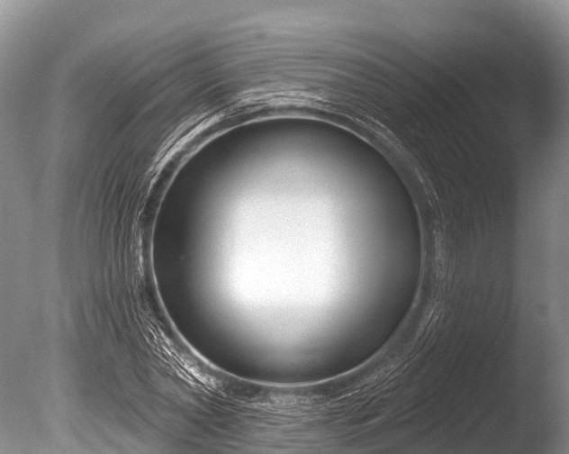 X0000086050782200703301105