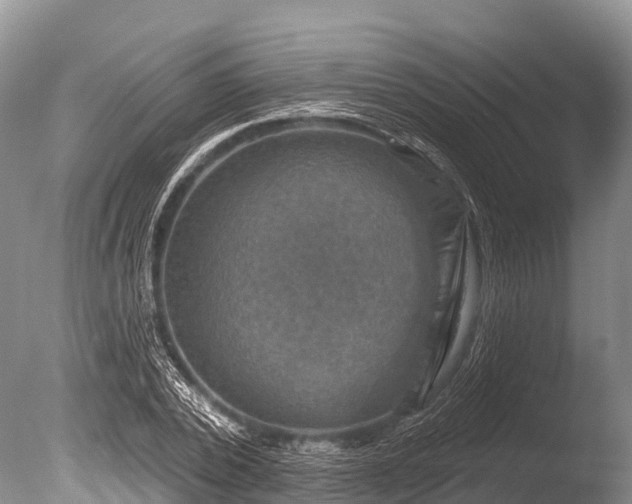 X0000086050784200703301105