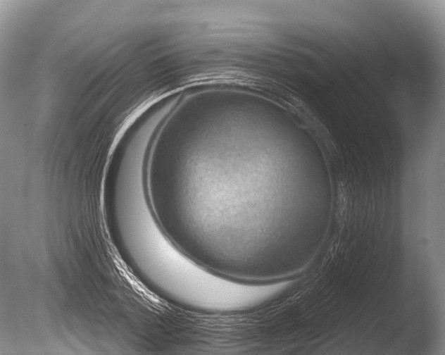 X0000086050788200703301104