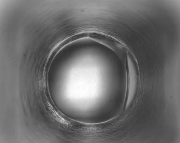 X0000086050791200703301104