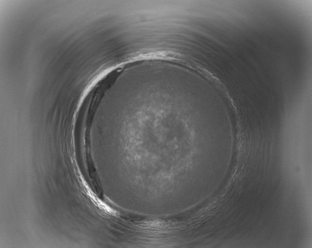 X0000086050792200703301104