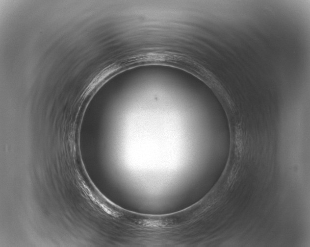X0000086050794200703301104