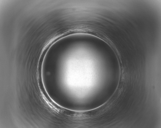 X0000086050795200703301104