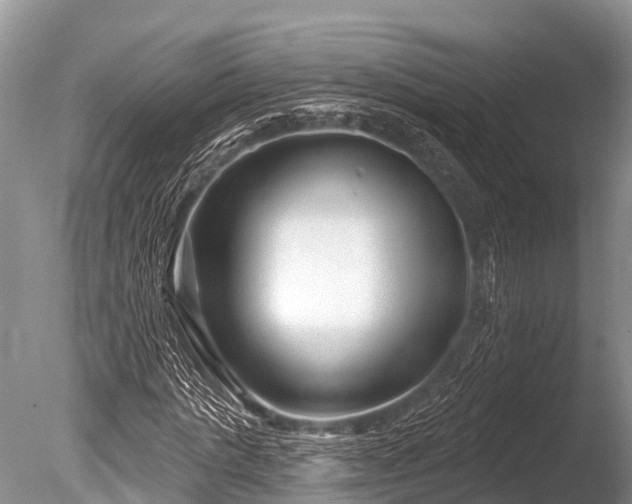 X0000086050821200703301103