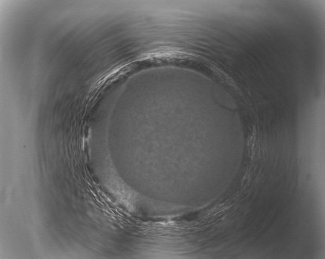X0000086050822200703301103